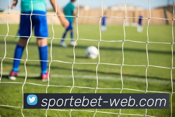 易倍体育平台生态图