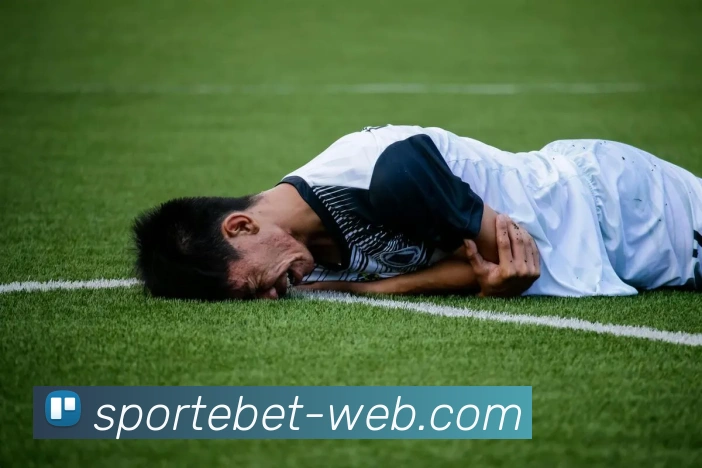 易倍体育APP 封面图